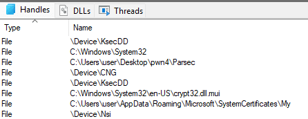 Parsec handles in Procexp