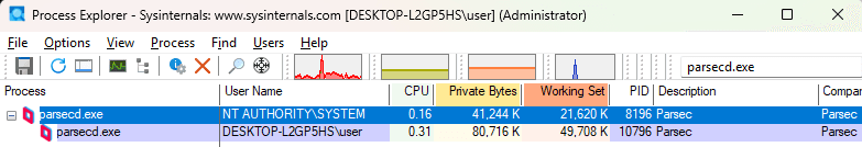 Running parsecd.exe processes