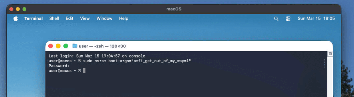 AMFI disabled in the VM