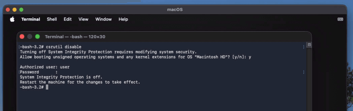 SIP disabled in the VM